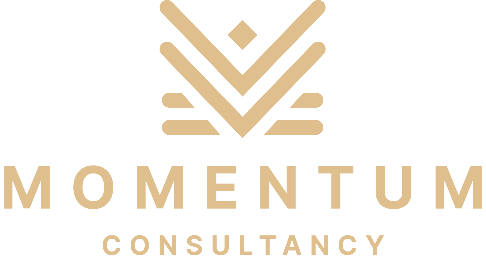 Moe Momentum Consultancy - Business Growth & Success